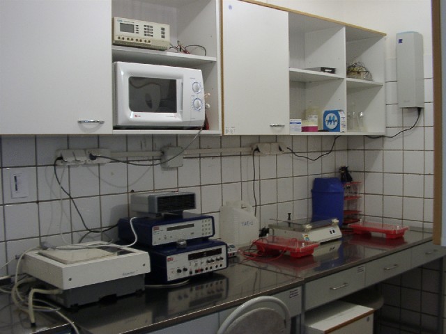 Electrophoresis room